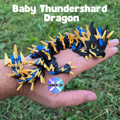Baby Thundershard Dragon Baby Thundershard Dragon