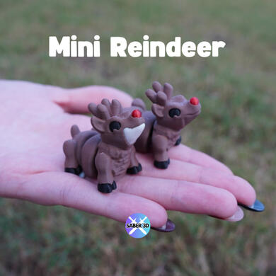 Reindeer Reindeer