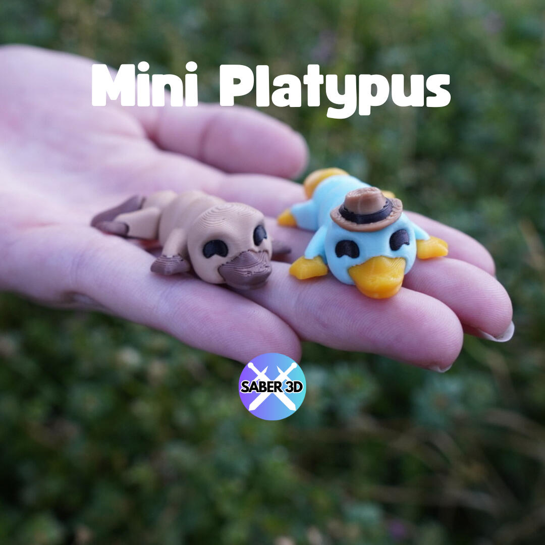 Mini Platypus