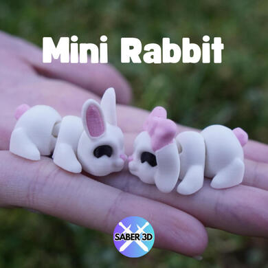 Rabbit Rabbit