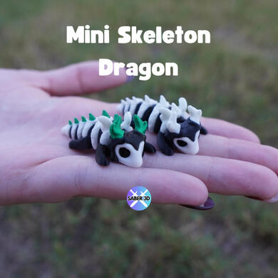 Skeleton Dragon Skeleton Dragon