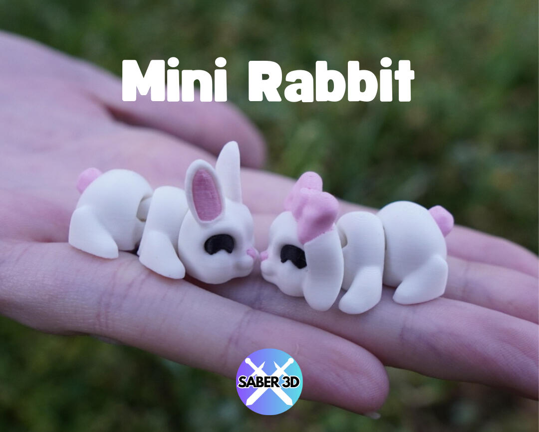 Mini Rabbit