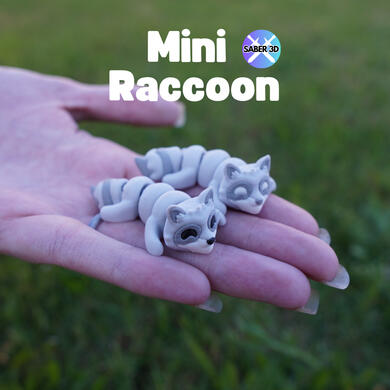 Raccoon Raccoon