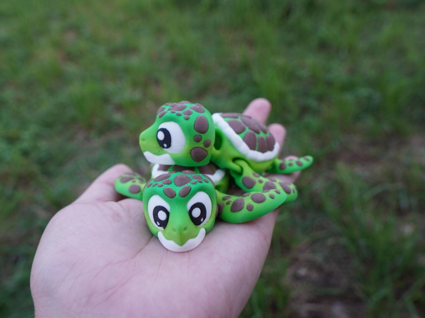 Flexi Turtle