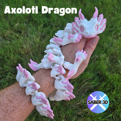 Axolotl Dragon Axolotl Dragon