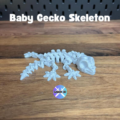 Baby Gecko Skeleton Baby Gecko Skeleton