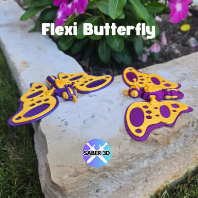 Butterfly Butterfly