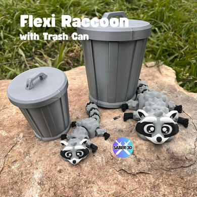 Raccoon Raccoon