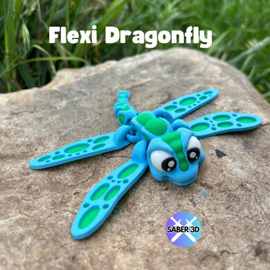 Dragonfly Dragonfly